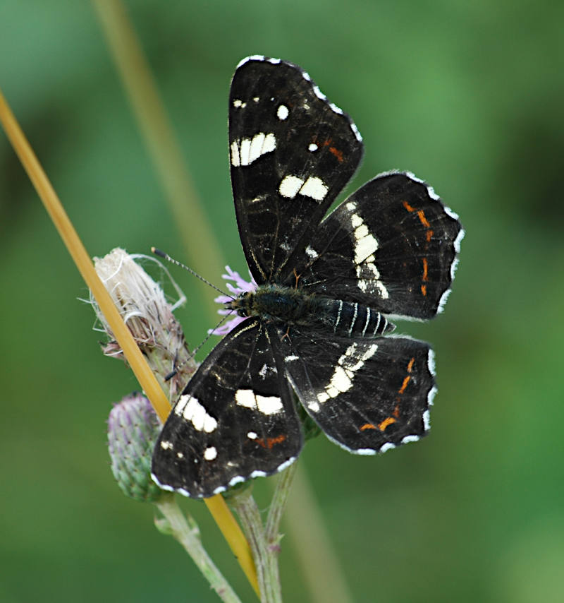 Landkaartje